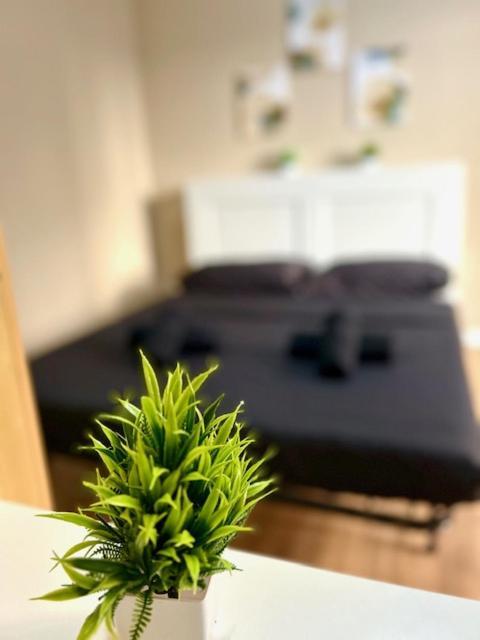 Residence Zar 8 Триест Экстерьер фото