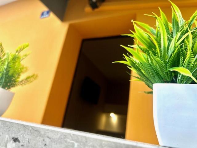 Residence Zar 8 Триест Экстерьер фото