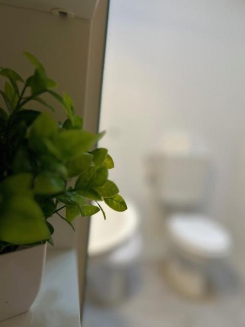 Residence Zar 8 Триест Экстерьер фото