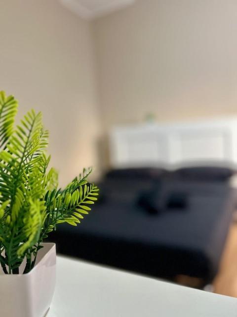 Residence Zar 8 Триест Экстерьер фото
