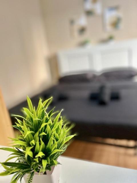 Residence Zar 8 Триест Экстерьер фото